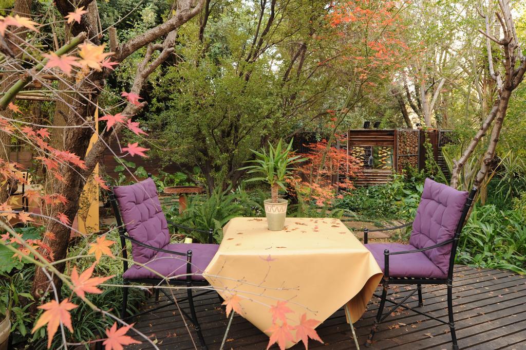 Jedidja Bed And Breakfast 블룸폰테인 외부 사진